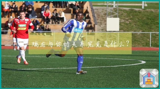 璃龙与你的关系究竟是什么？